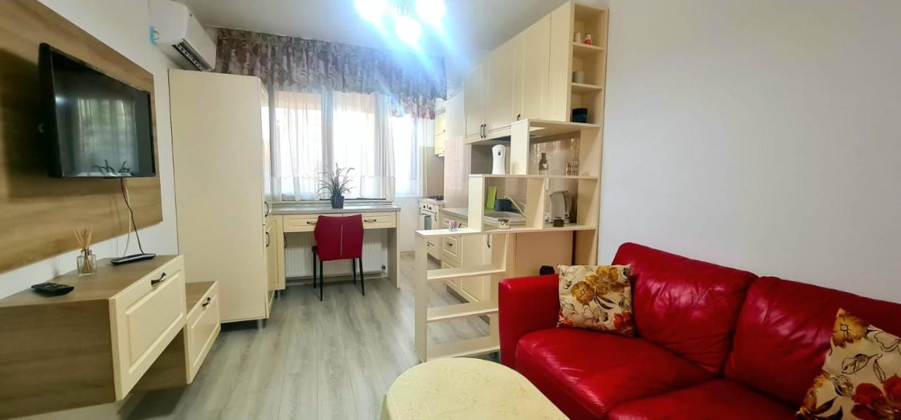 Elyse Comfortable Apartment Close To Palas Mall Iasi Eksteriør bilde